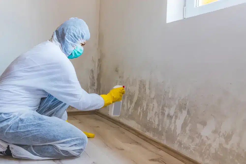 Dealing with mold remediation